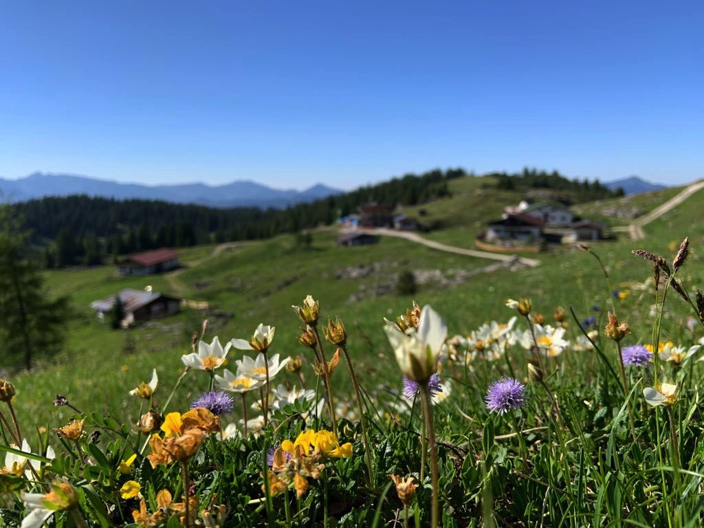 Hochsommer in den Bergen